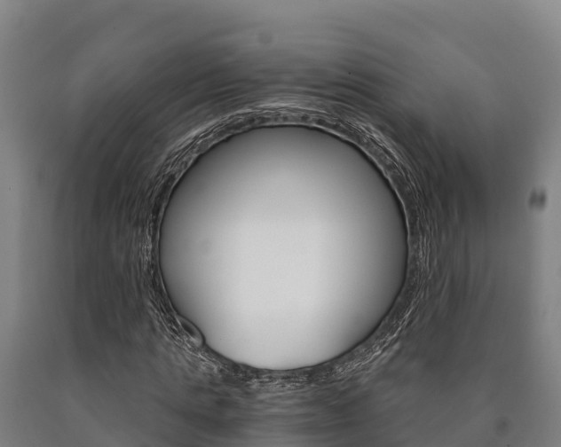 X0000090920821200707301051