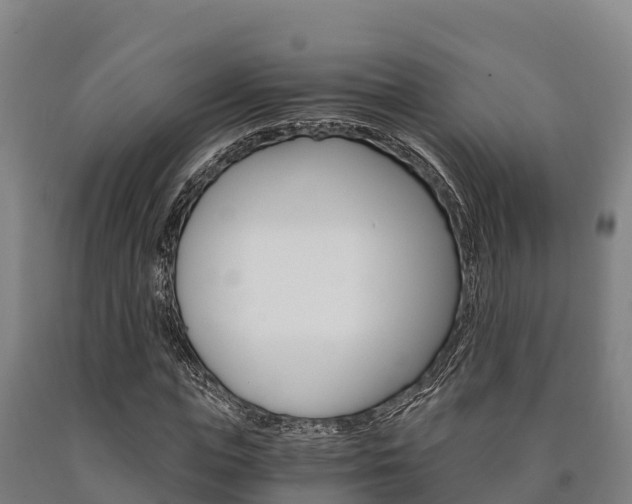 X0000090920823200707301051