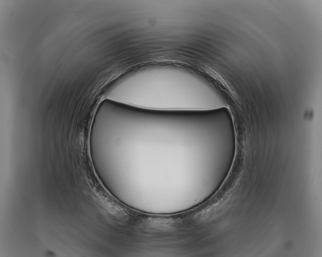 X0000090920825200707301051
