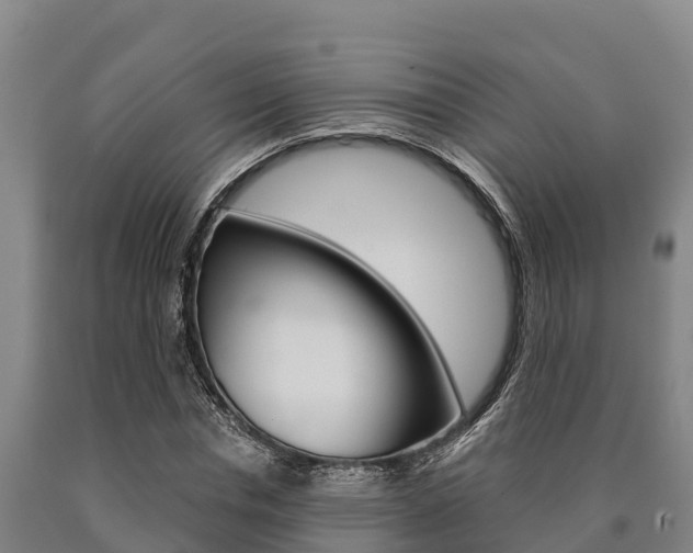 X0000090920826200707301051