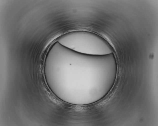 X0000090920827200707301052