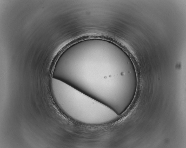 X0000090920829200707301052