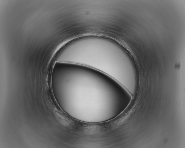 X0000090920830200707301052
