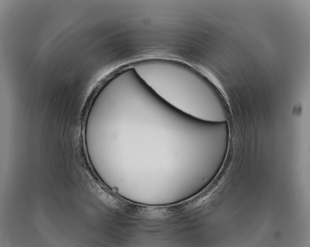 X0000090920831200707301052