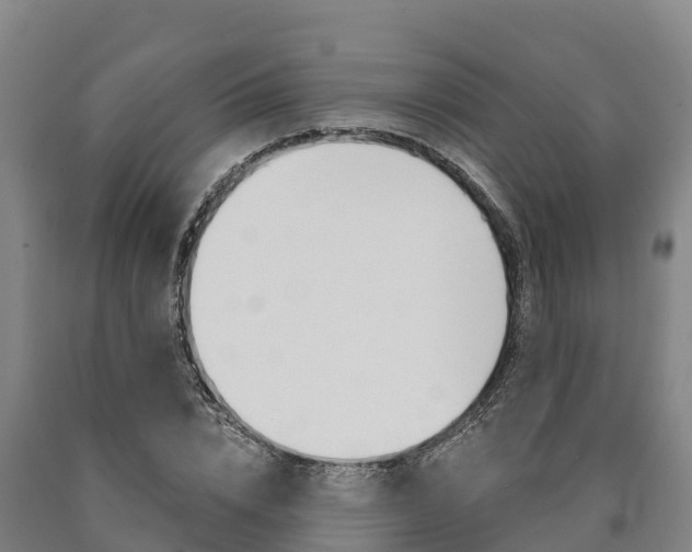 X0000090920832200707301052