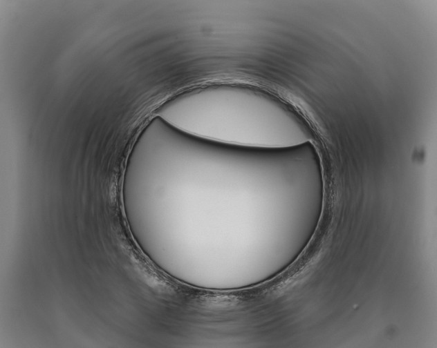 X0000090920833200707301052