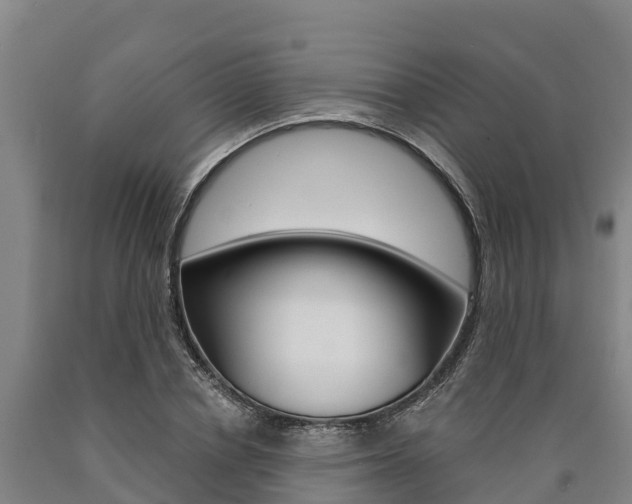 X0000090920834200707301052