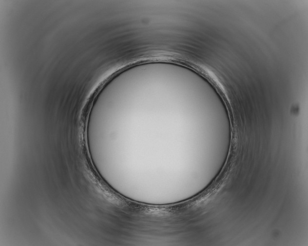 X0000090920835200707301052