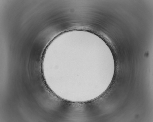 X0000090920836200707301052