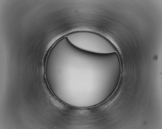 X0000090920837200707301052