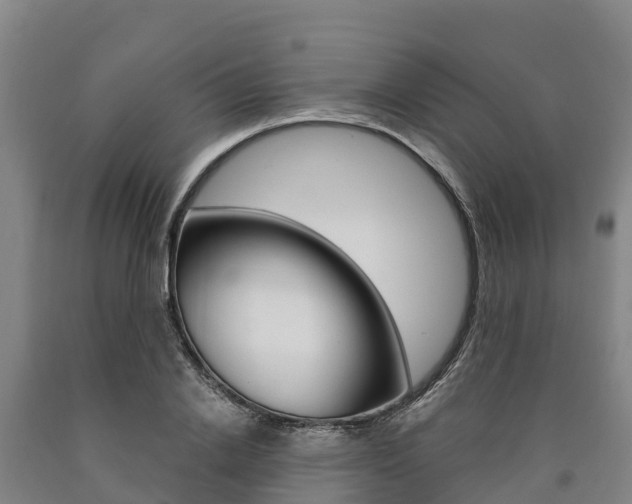 X0000090920838200707301052