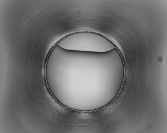 X0000090920839200707301052