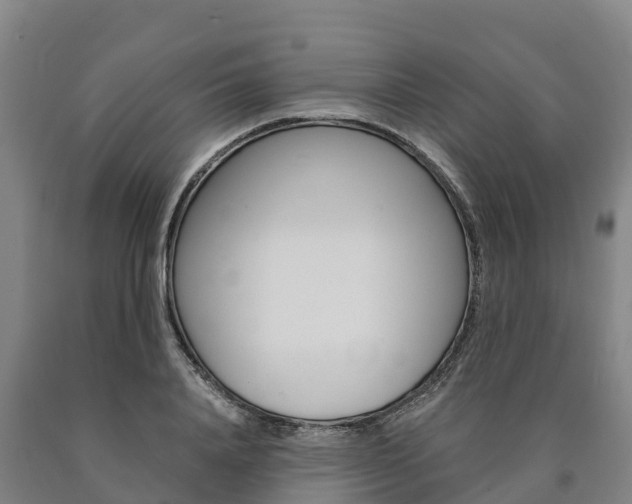 X0000090920840200707301052