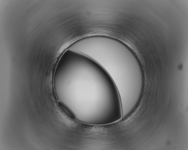 X0000090920842200707301052