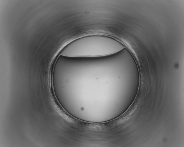 X0000090920843200707301052