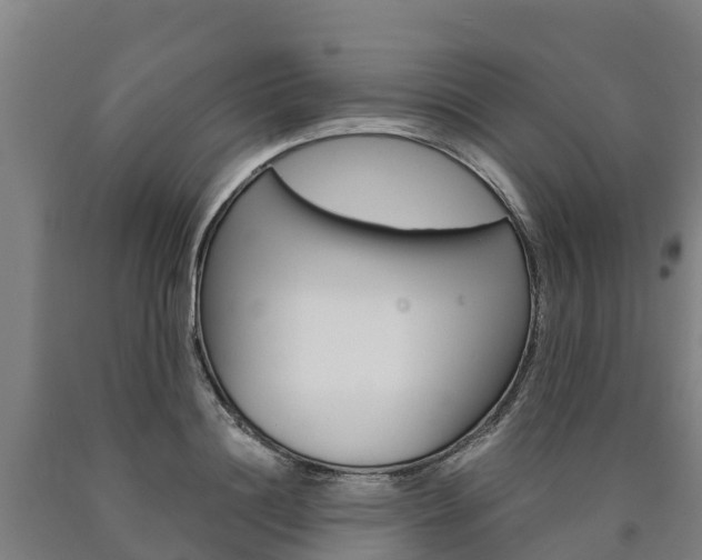 X0000090920844200707301052