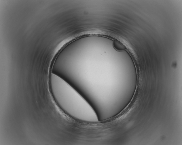 X0000090920845200707301052