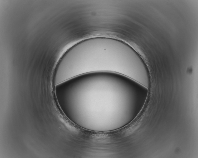 X0000090920846200707301052