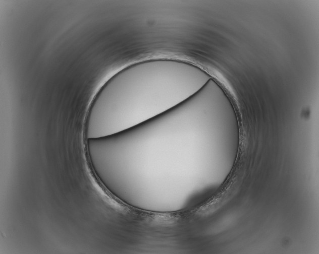 X0000090920847200707301052