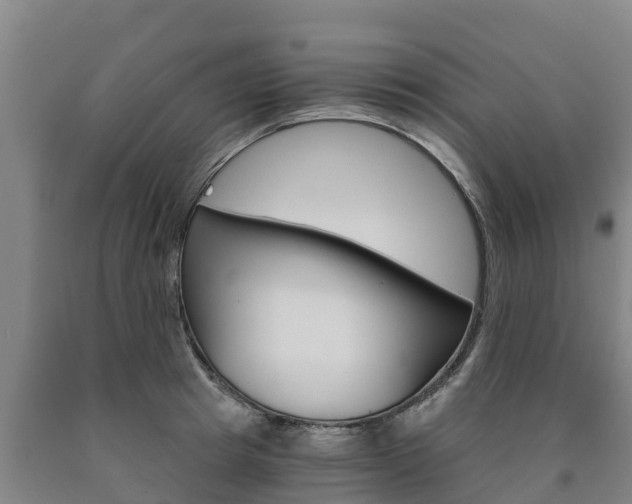 X0000090920849200707301052