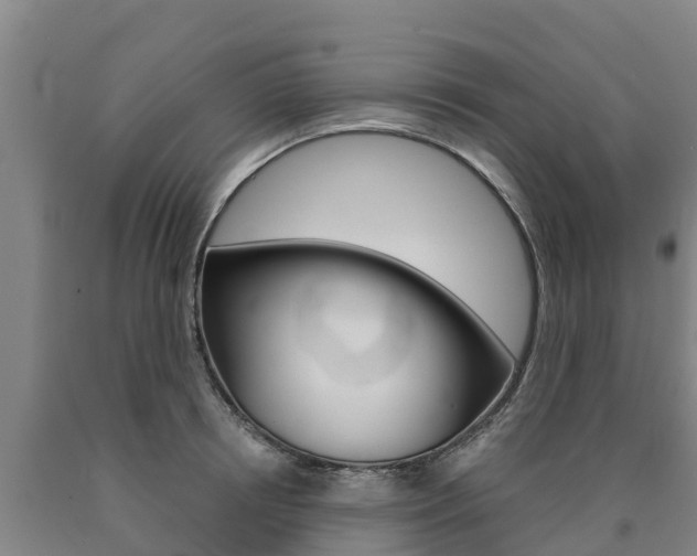 X0000090920850200707301052