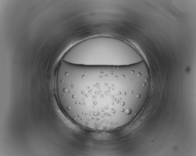X0000090920851200707301052
