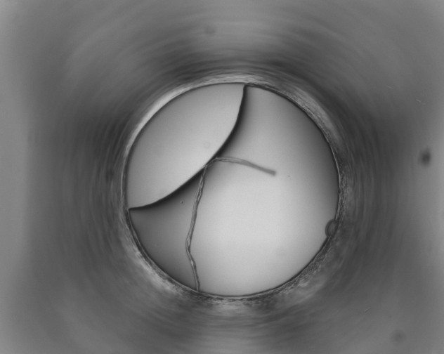 X0000090920852200707301052