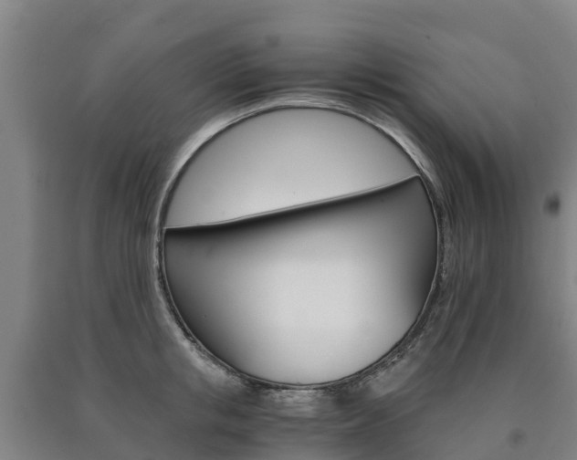 X0000090920853200707301052