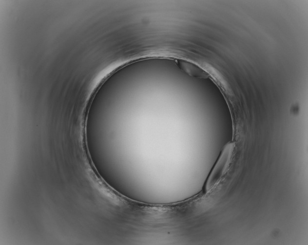 X0000090920854200707301052