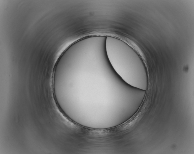 X0000090920855200707301052