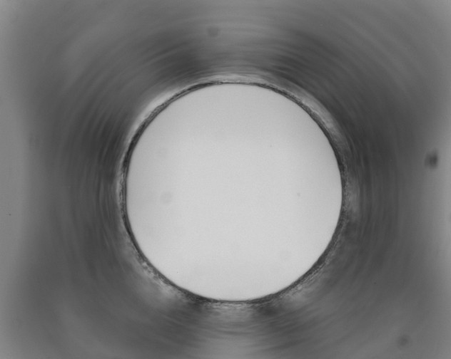 X0000090920856200707301052