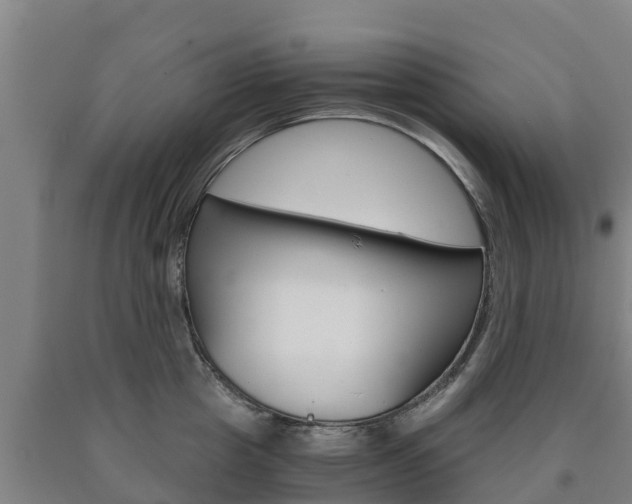 X0000090920857200707301052