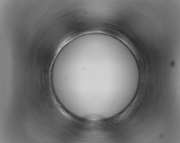 X0000090920858200707301052