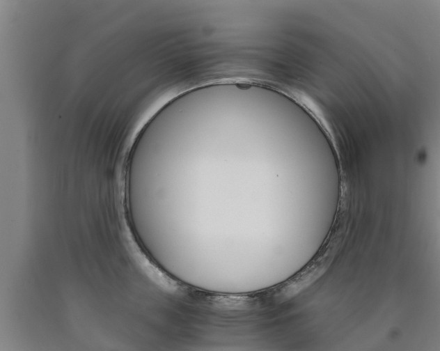 X0000090920859200707301052