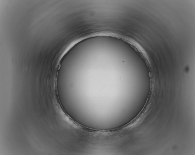 X0000090920860200707301052