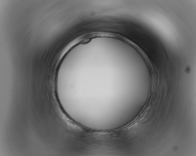 X0000090920861200707301052