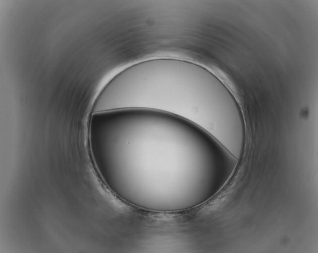 X0000090920862200707301052