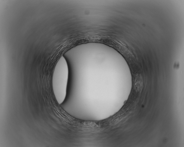 X0000090920866200707301051