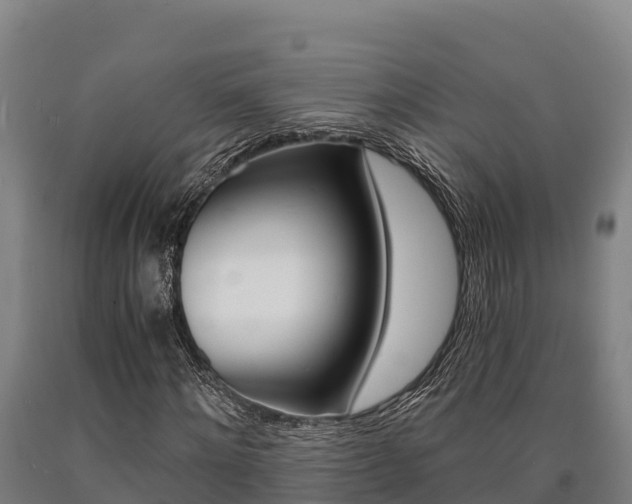 X0000090920868200707301051