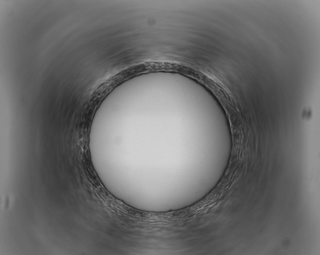 X0000090920870200707301051