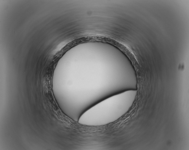 X0000090920871200707301051