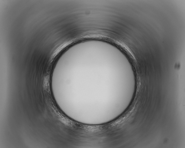 X0000090920874200707301051