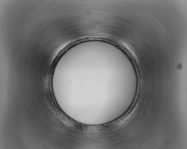 X0000090920875200707301051