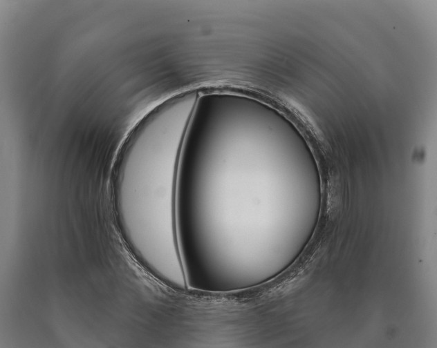 X0000090920876200707301051