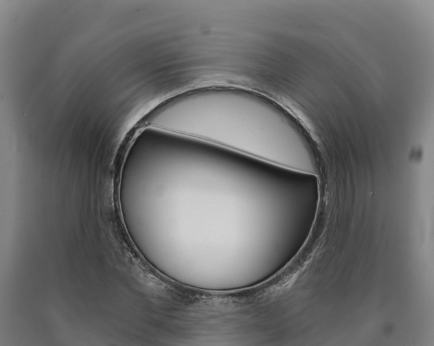 X0000090920877200707301051