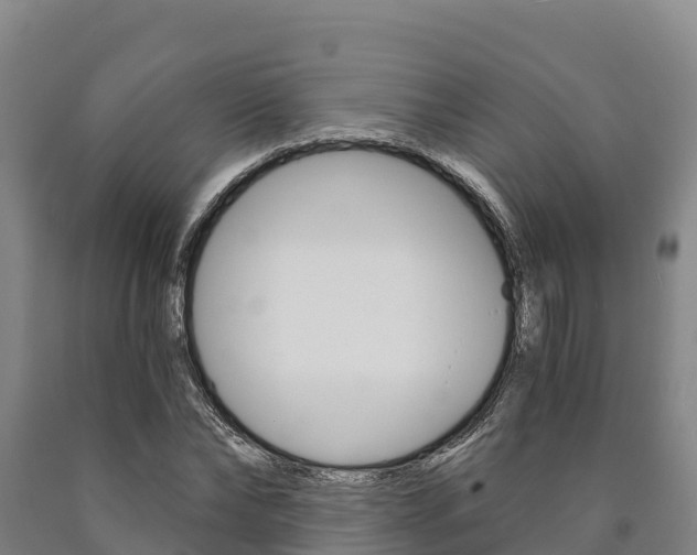 X0000090920878200707301051