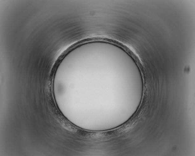 X0000090920879200707301051