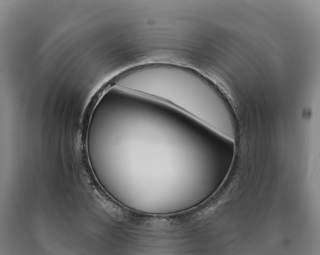 X0000090920880200707301051