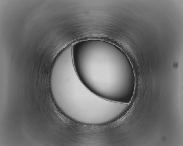 X0000090920881200707301051