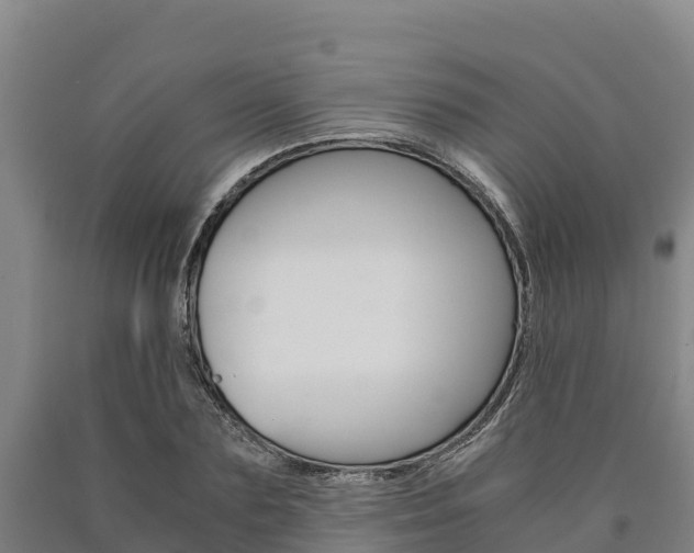 X0000090920883200707301051